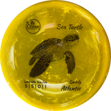 Ocean Discs Swirly Atlantic Sea Turtle